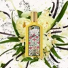 Gucci Flora- Gorgeous orchid (1) Gucci Flora Gorgeous Orchid perfume