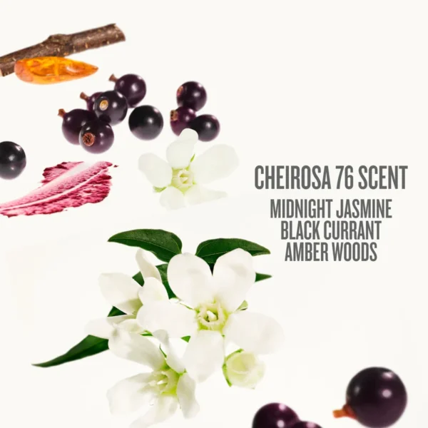 Sol de Janeiro Cheirosa 76 Perfume Mist Black Currant Amber Woods Patchouli Sol de Janeiro Cheirosa 76 Perfume Mist
