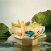 THE RITUAL OF SESHEN  GIFT SET L