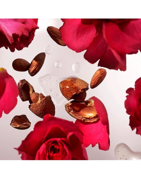 THE RITUAL OF AYURVEDA BODY SCRUB