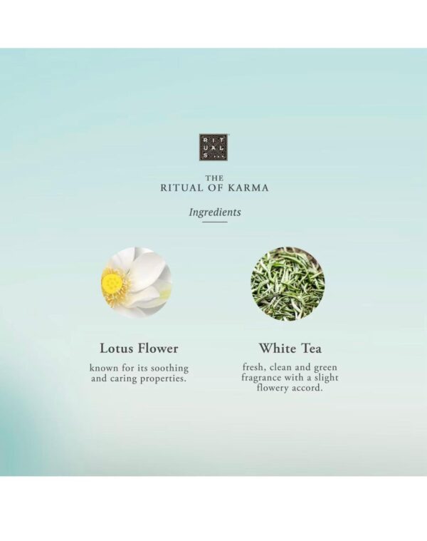 THE RITUAL OF KARMA BODY SCRUB